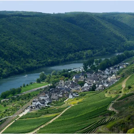 Lux Im Weinort An Der Mosel 펜션 *