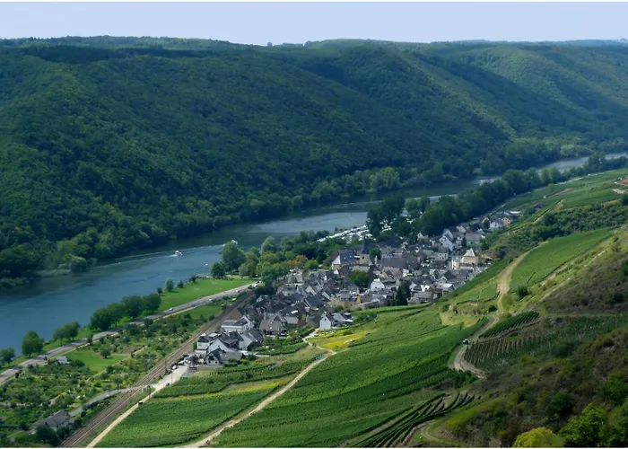 Lux Im Weinort An Der Mosel Casa de Férias *